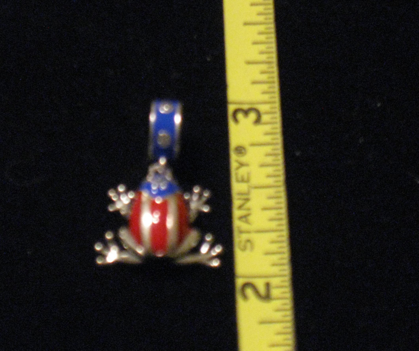 Puerto Rico Tree Frog Colored Charm